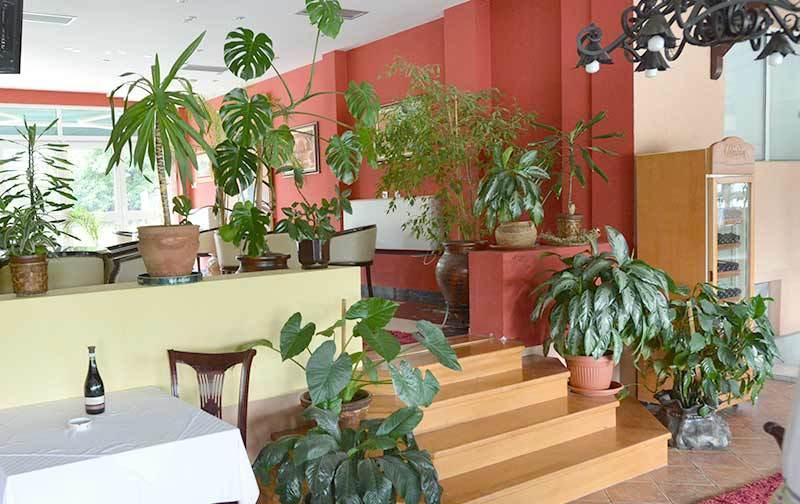 Motel Kneginja Cacak Luaran gambar